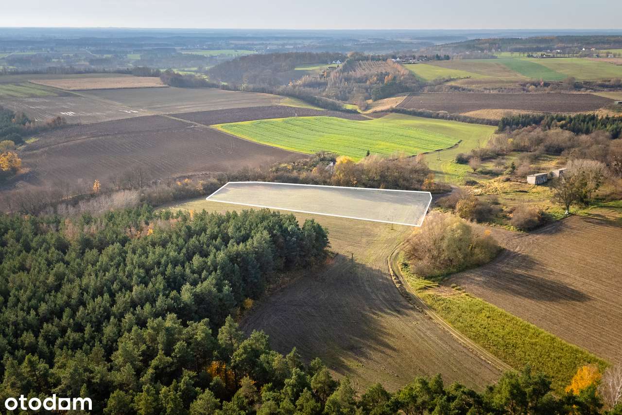 Duża działka budowlana z WZ na 3 domy wolnostojące - Pełny obrazek: 4/20