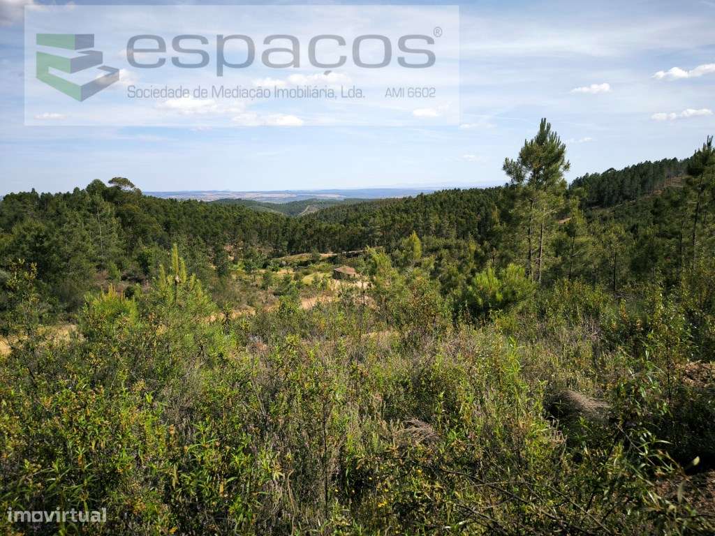 Quintinha 5 minutos de Castelo Branco - Grande imagem: 3/14