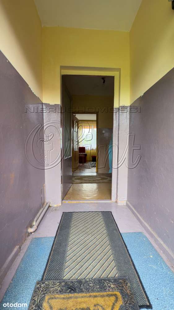 Okazja! Bliźniak z potencjałem-7