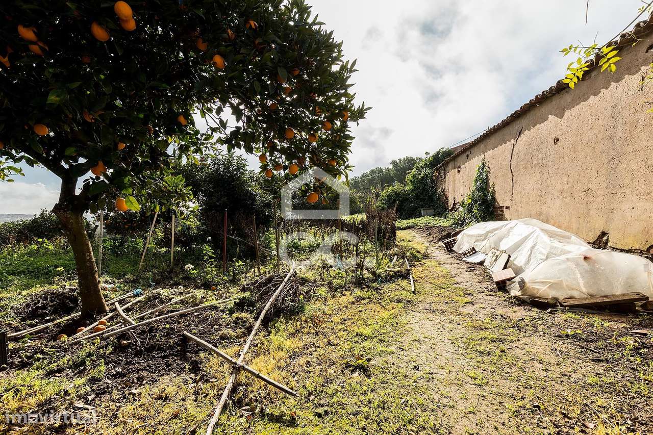 Quinta T5 de 0,9 ha com Moradias e Anexos | Torrão, Alcácer do Sal-41