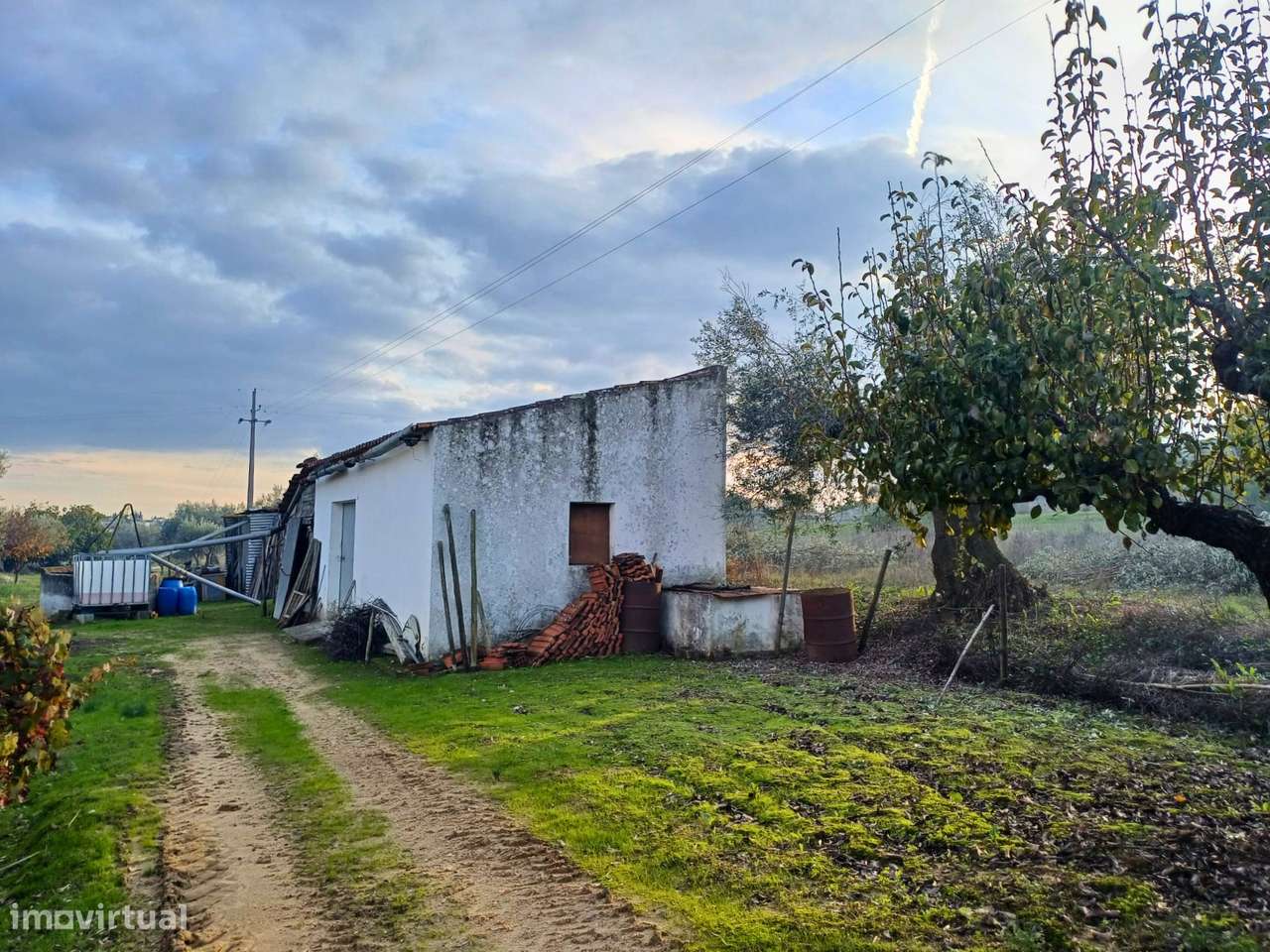 Terreno rústico em Alcanhões com 4.560 m² - Grande imagem: 4/9