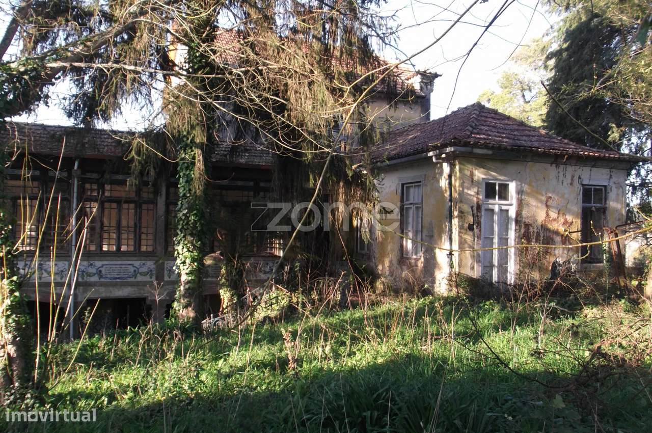 Quinta com edifício em ruinas e terreno com 14666 m2 - Grande imagem: 4/49