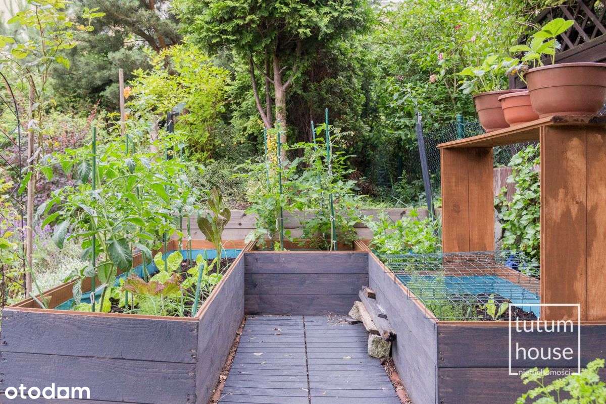 Przekrocz próg – Ogród 300 m² czeka na Ciebie !-17