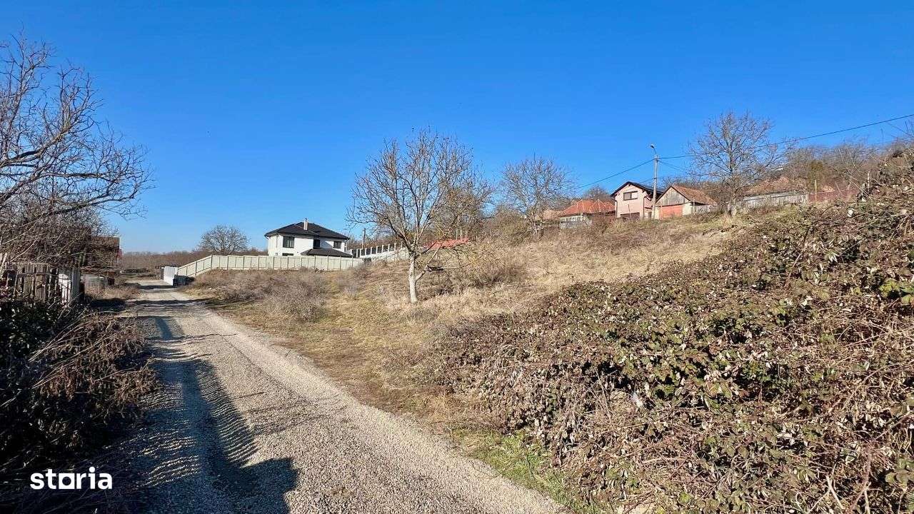 Vand parcele cu suprafata de 835 mp, Tg, Mures, str Viile Dealului Mic - Imagine principală: 2/4