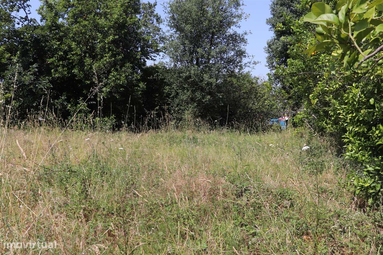 Lote de Terreno  Venda em Campo (São Martinho), São Salvador do Campo - Grande imagem: 4/11