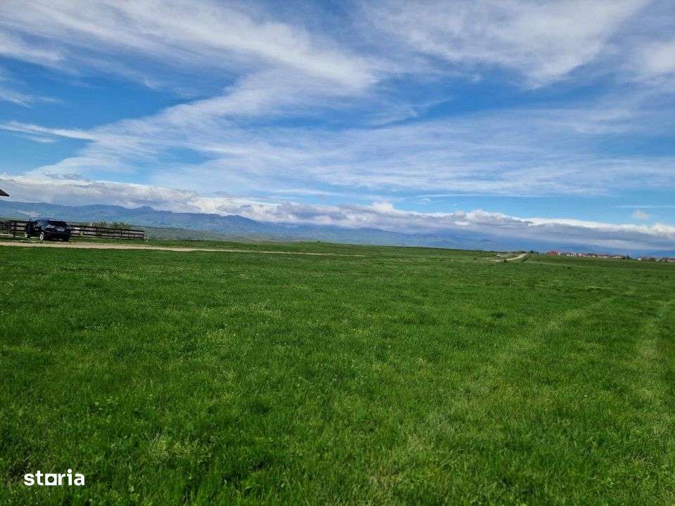 Vanzare teren extravilan 25.254 mp, situat in Preajba Mare - Imagine principală: 1/6