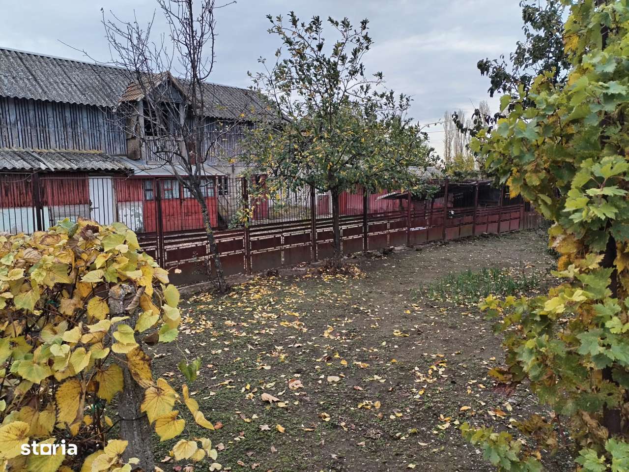 Casa cu teren - central Segarcea-2