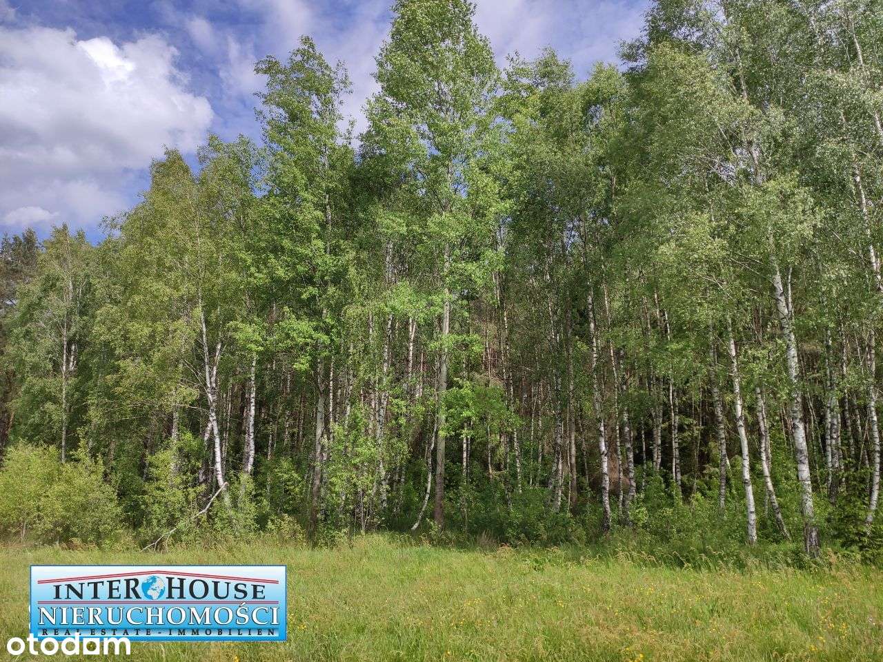 Na sprzedaż malowniczo położone działki Rekowo - Pełny obrazek: 4/12