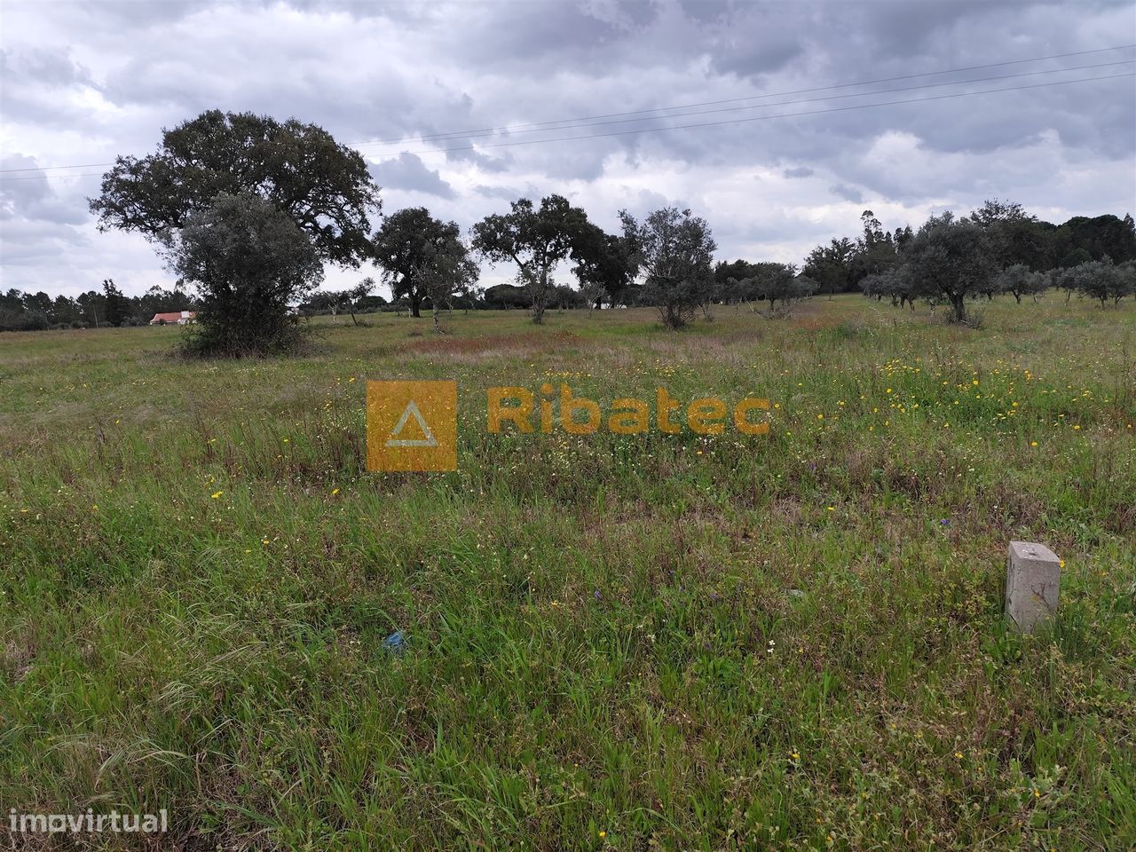 Terreno com viabilidade de construção - Grande imagem: 1/7