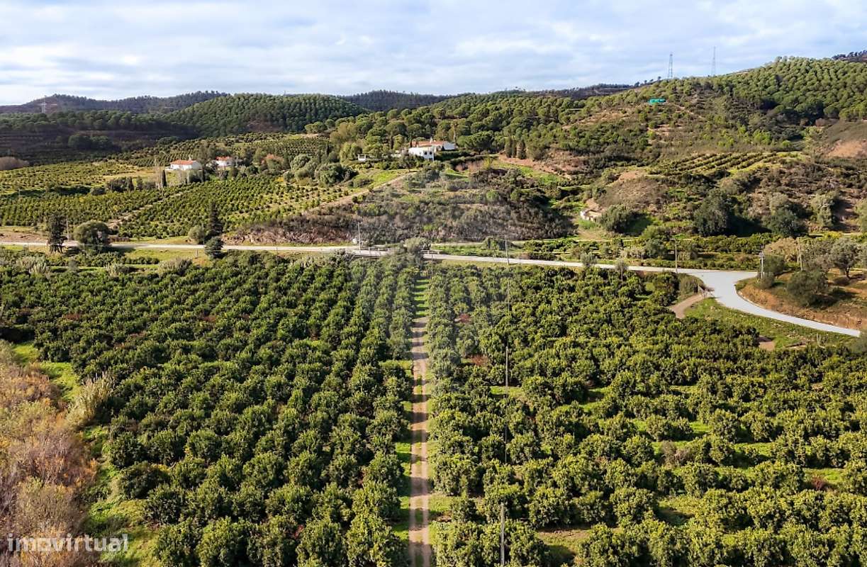 Quinta T13 para venda - Grande imagem: 5/15