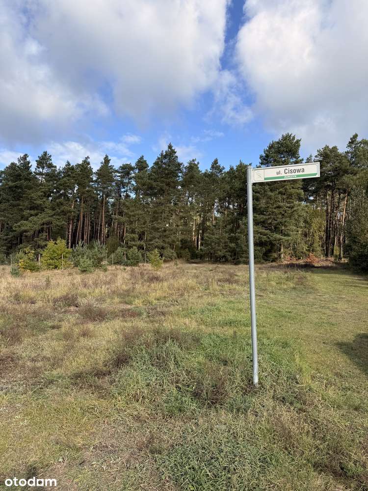 Żurczyn Urokliwa działka budowlana przy lesie. - Pełny obrazek: 4/6