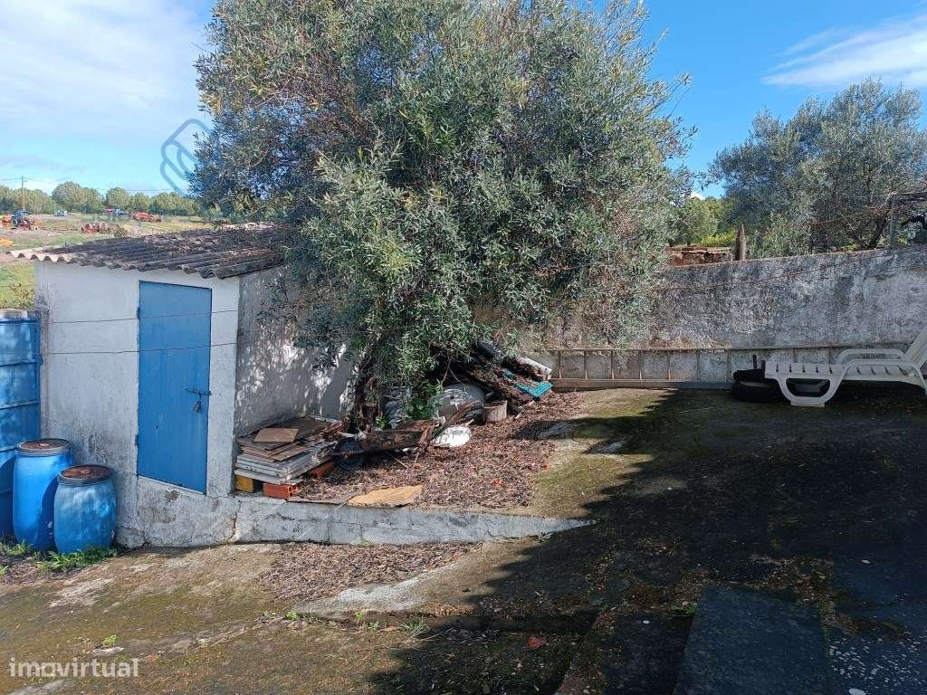 Moradia T3 Sto Aleixo Restauração - Moura-9