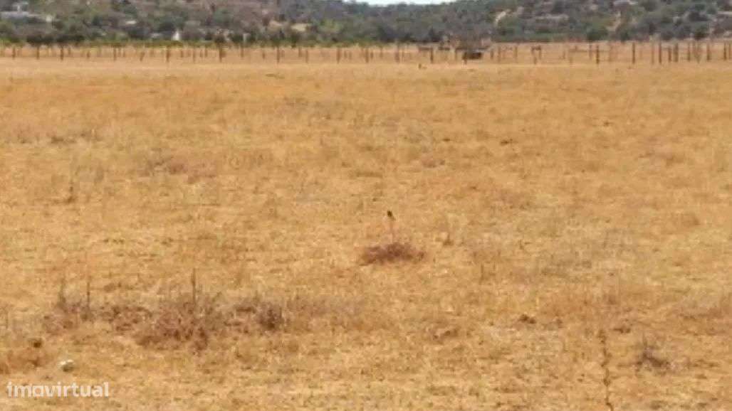 TERRENO RUSTICO VARZEA DO POÇO DA FIGUEIRA-30