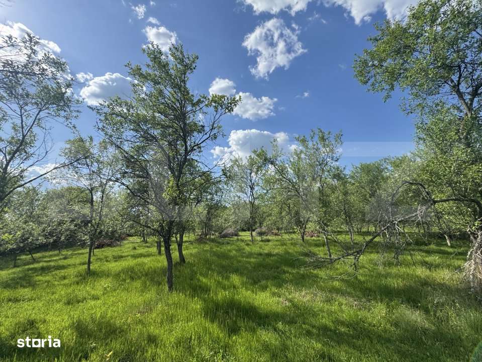 Teren intravilan de vanzare, 15080 mp, zona Tatarasti - Imagine principală: 5/8