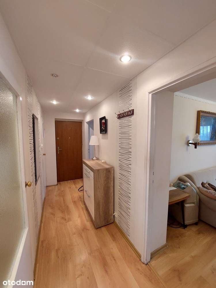 Plewiska zadbane 3 pokojowe, garaż, ogród, pomieszczenie gospodarcze - Pełny obrazek: 4/13