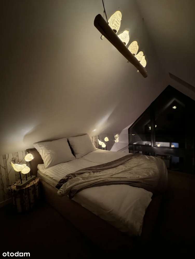 Wyjątkowa nieruchomość:  Wzgórza Dylewskie - prywatności i natury - Pełny obrazek: 2/9