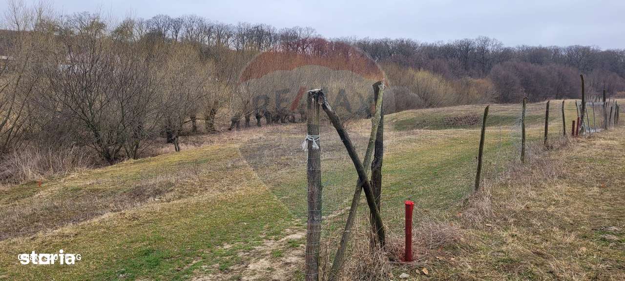 Teren 2925 mp comuna Mitocu Dragomirnei - Imagine principală: 5/20