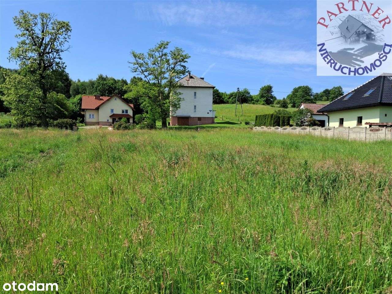 Na sprzedaż duża działka z Wz, Płaza - Pełny obrazek: 5/9