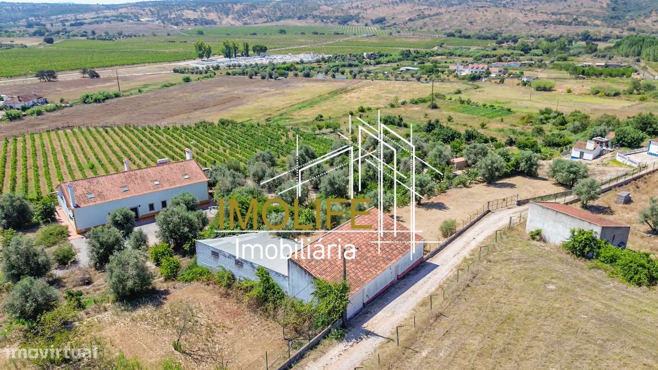 Armazém para venda em Cabeção-15