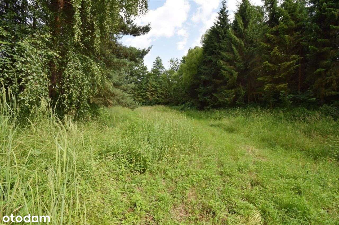 Budynek Rekreacyjny 80m2, Drogomyśl,Działka 4435m2-11