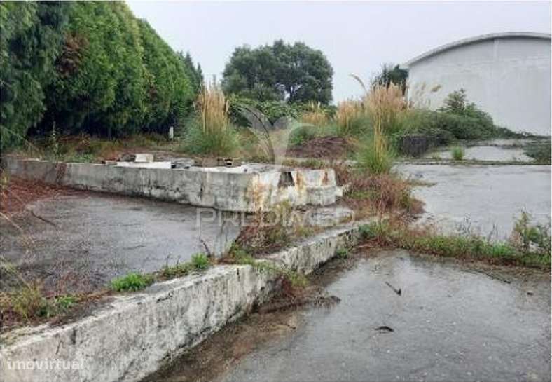 Armazém em Santa Maria da Feira – Excelente Oportunidade - Grande imagem: 3/15