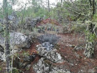 Terreno para Venda - Grande imagem: 3/5
