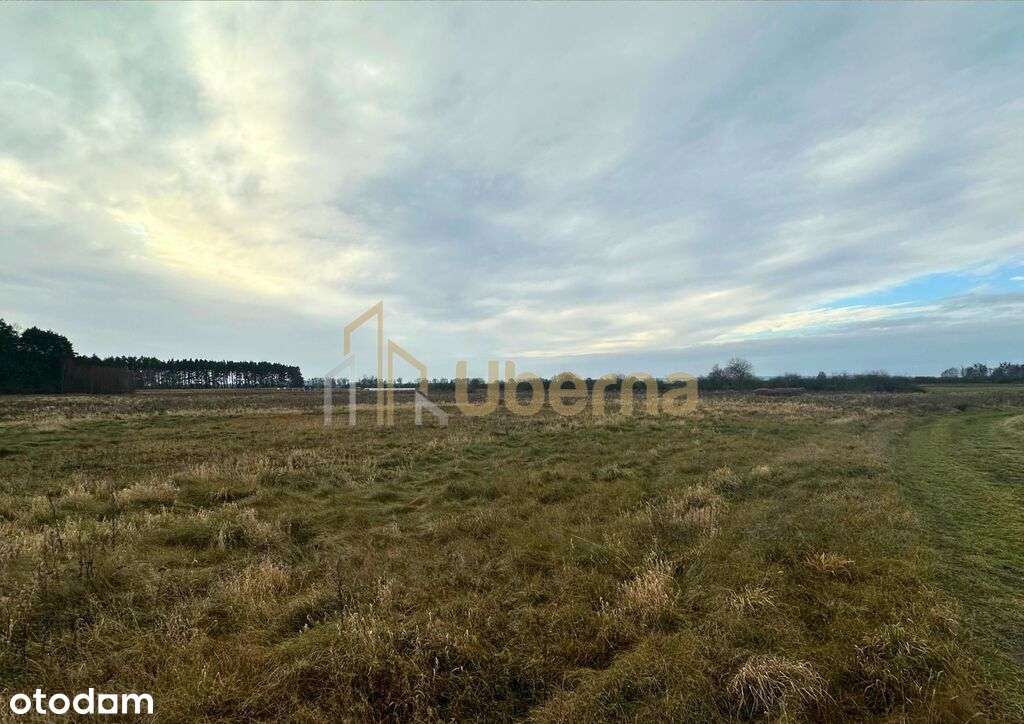 Działka rolna Gm.Goleniów na sprzedaż-5