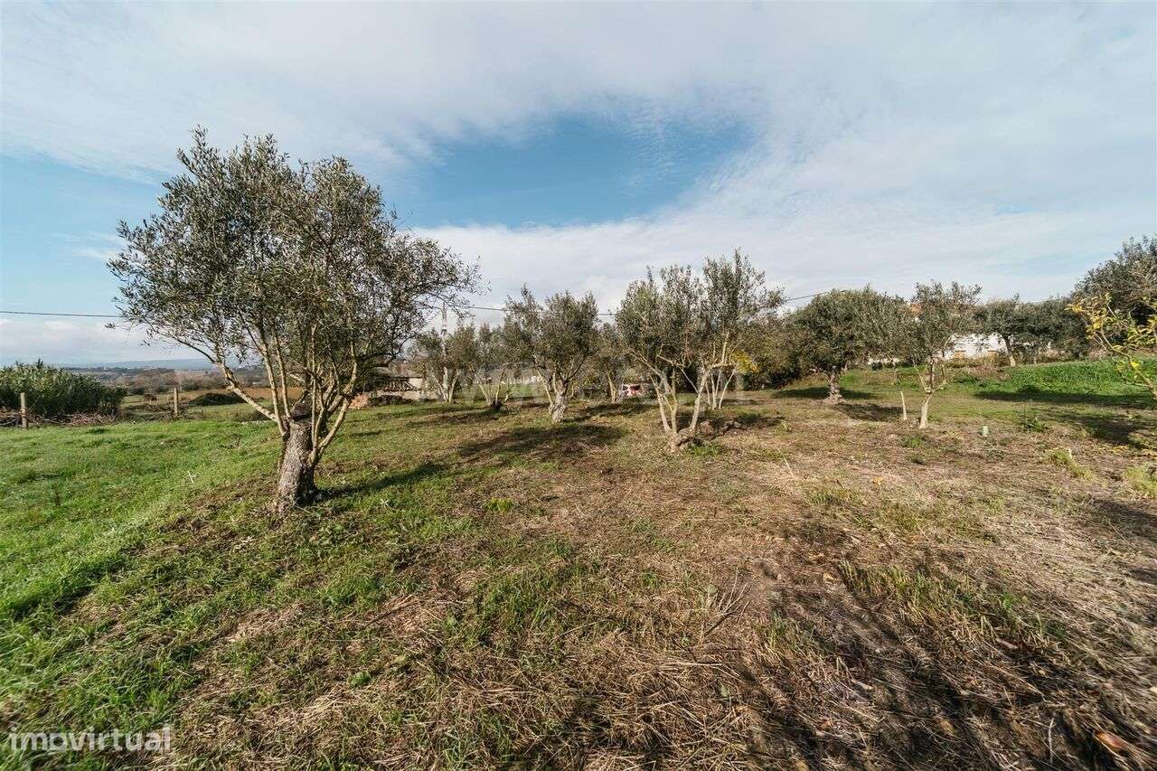 Terreno Rústico / Fundão, Alcaria - Grande imagem: 4/5