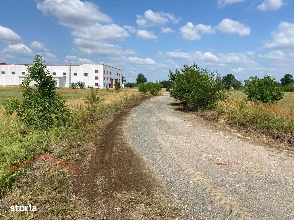 Hala industriala cu 2 poduri rulante de vanzare in zona Sagu - Imagine principală: 4/5