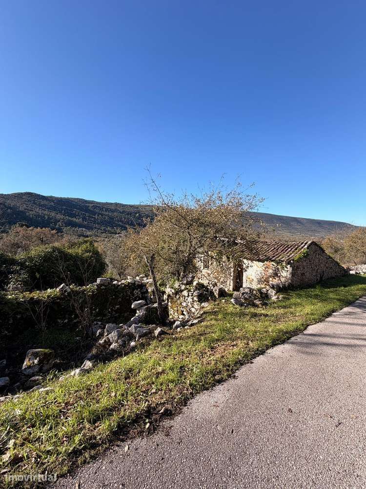 Terreno com Ruína e Projeto Aprovado no Coração da Serra – Alvados - Grande imagem: 2/12