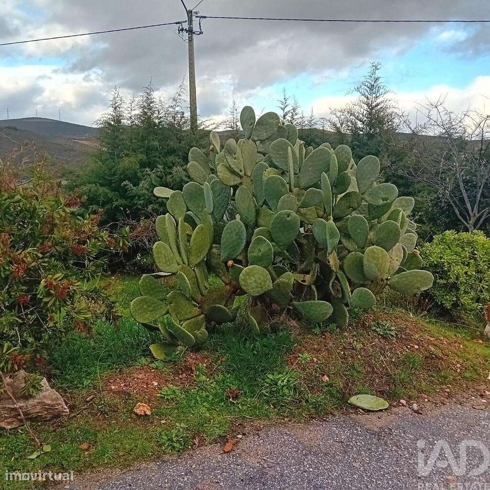 Casa / Villa T4 em Lagoaça e Fornos de 136,00 m2 - Grande imagem: 4/28