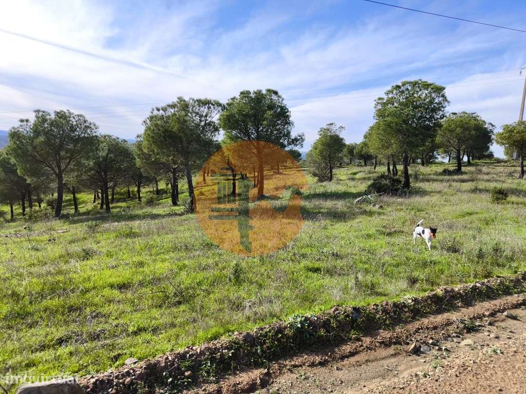 TERRENO COM 96.120 m² - COM POSSIBILIDADE DE CONSTRUÇÃO - VISTA LAG... - Grande imagem: 5/25