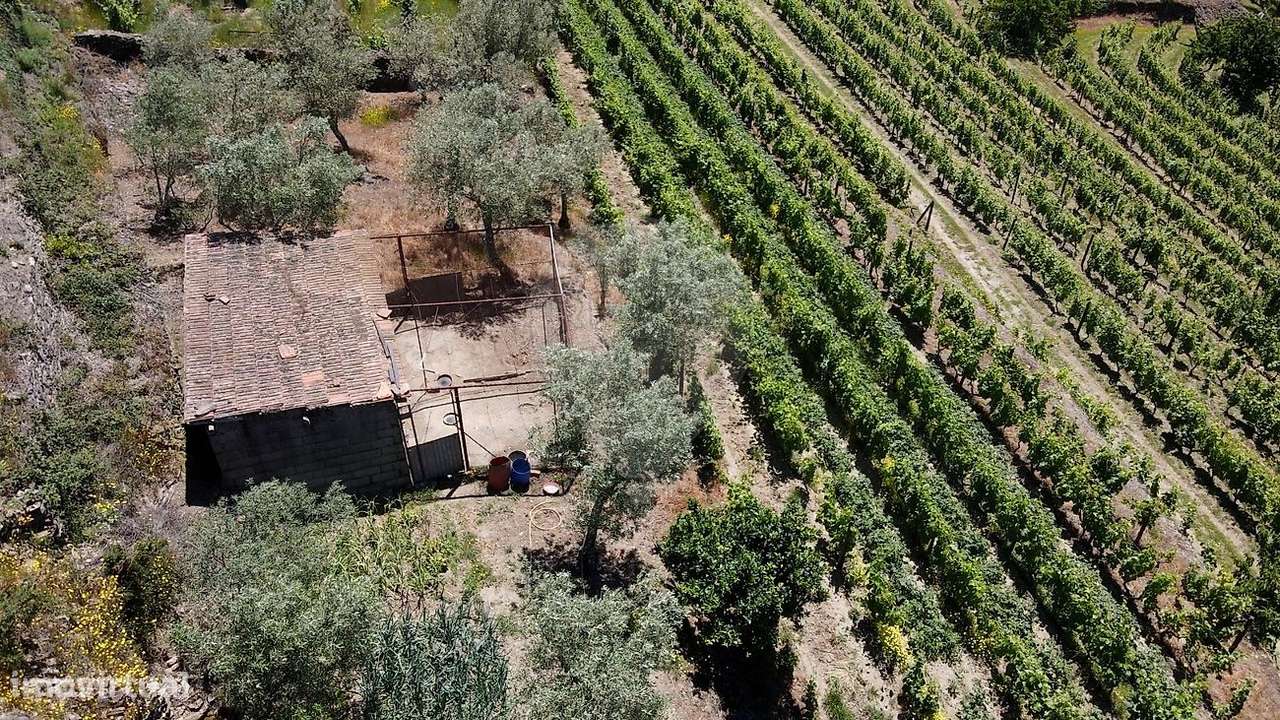 Quinta T3 para venda - Grande imagem: 4/26