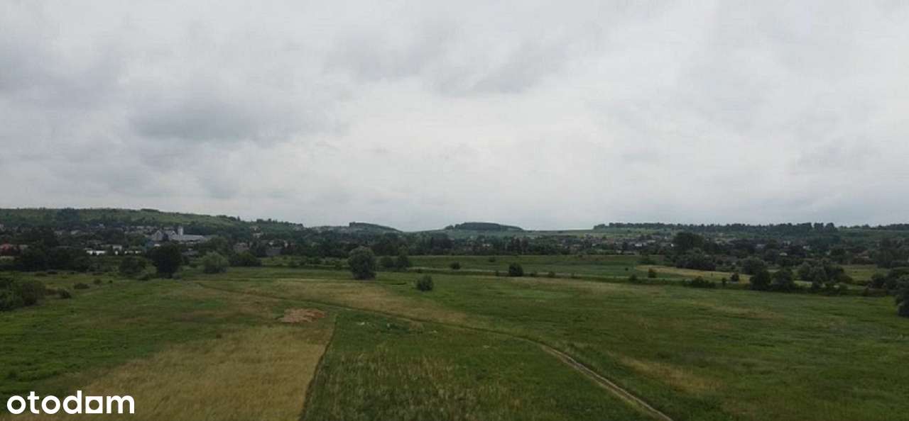 Syndyk sprzeda działki w Rogożniku