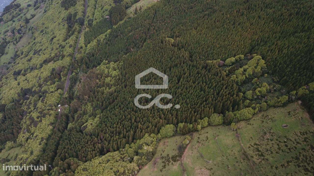 Terreno com 41.624,00 m2 - Santo Amaro - São Roque do Pico-6