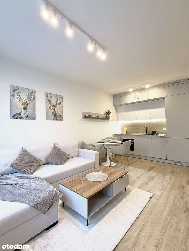 Piękne, nowe mieszkanie od dewelopera-zostań pierwszym najemną! - Pełny obrazek: 5/17