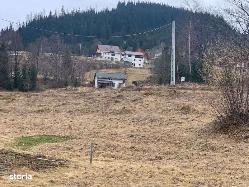 Teren 1500 mp, masivul Vladeasa, Rogojel, Cluj - Imagine principală: 4/6