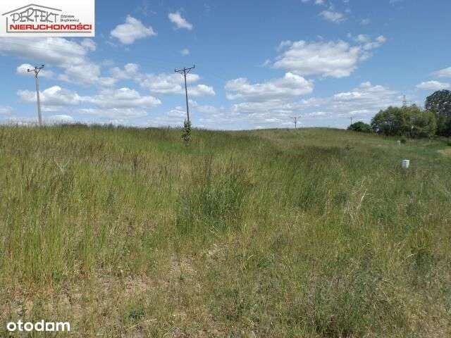 Działki z warunkami zabudowy i projektem domu. - Pełny obrazek: 1/3