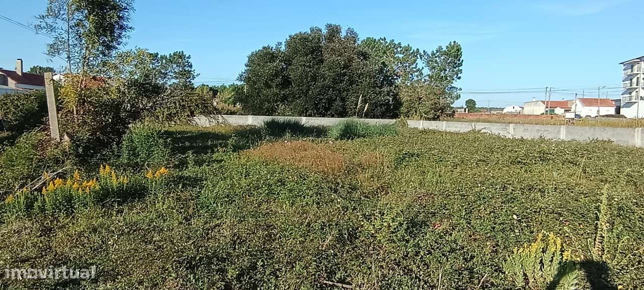 Terreno urbanizável, em zona calma em Pataias-3