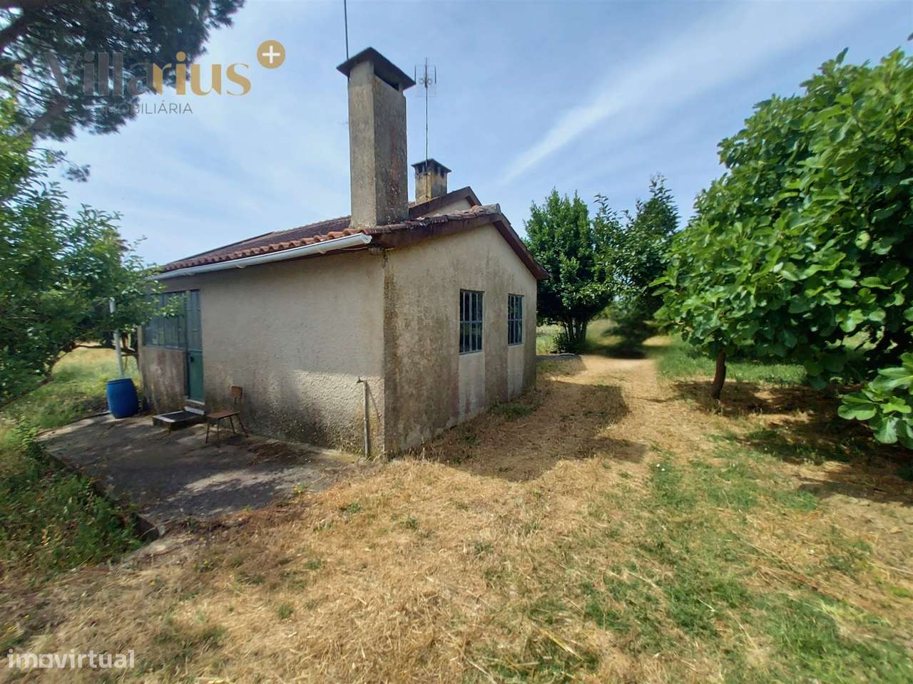 Moradia com terreno em Tomar — 13.800 m² e pomar - Grande imagem: 4/39