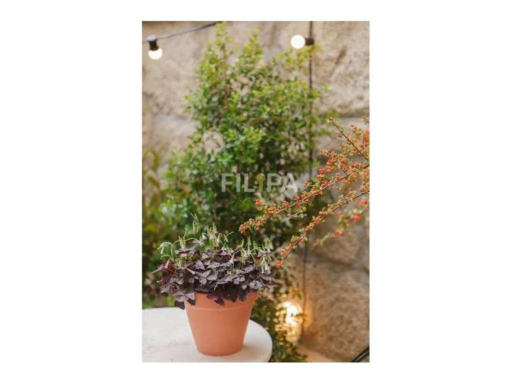 Um refúgio especial no Porto-13