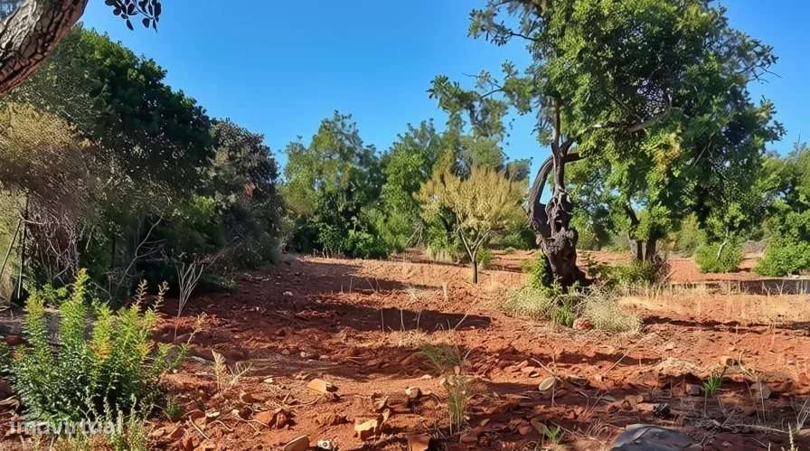 Terreno rústico plano com 4240 m2 no Algarve-5