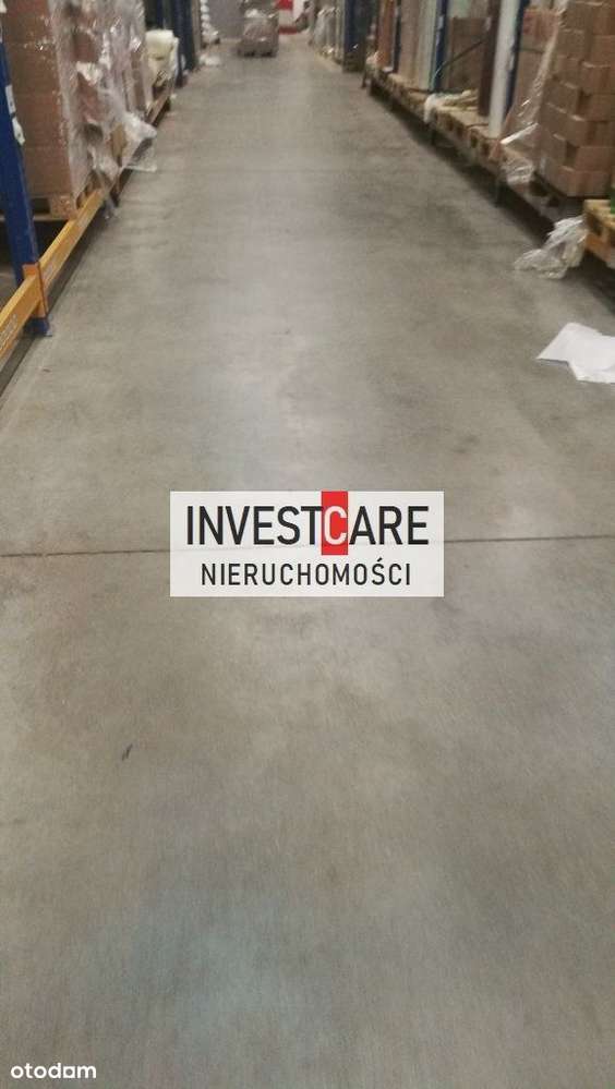 Magazyn ogrzewany blisko A1 - Pełny obrazek: 4/8