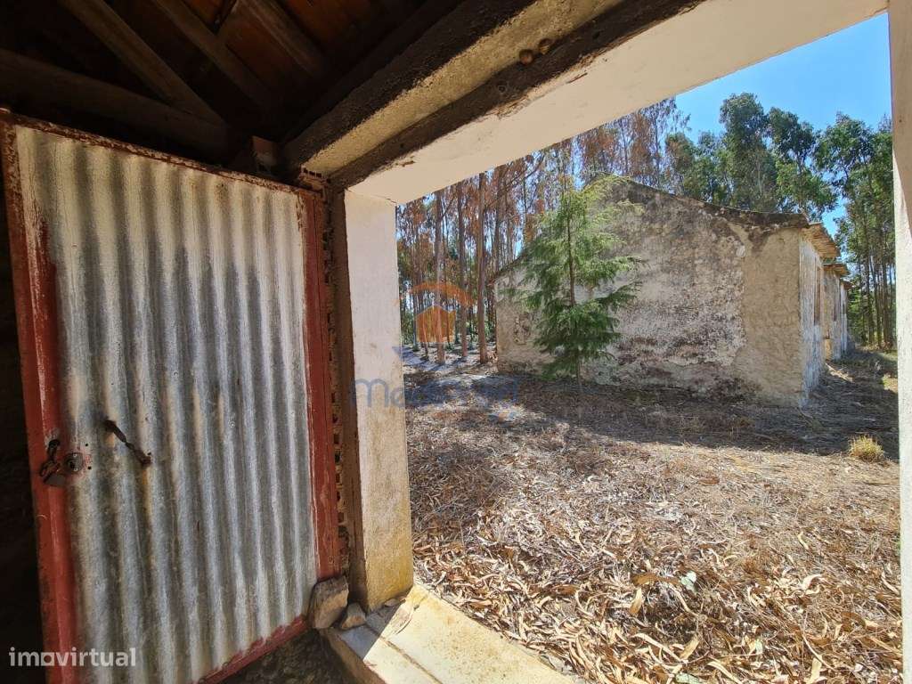 Casa e Adega com 4.200 m2 de terreno | Maxial, Torres Vedras - Grande imagem: 5/7