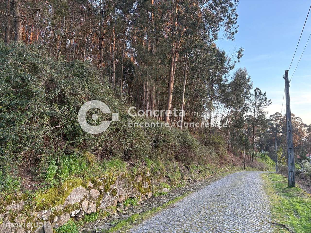 Terreno para construção em Moure, Barcelos - Grande imagem: 5/7