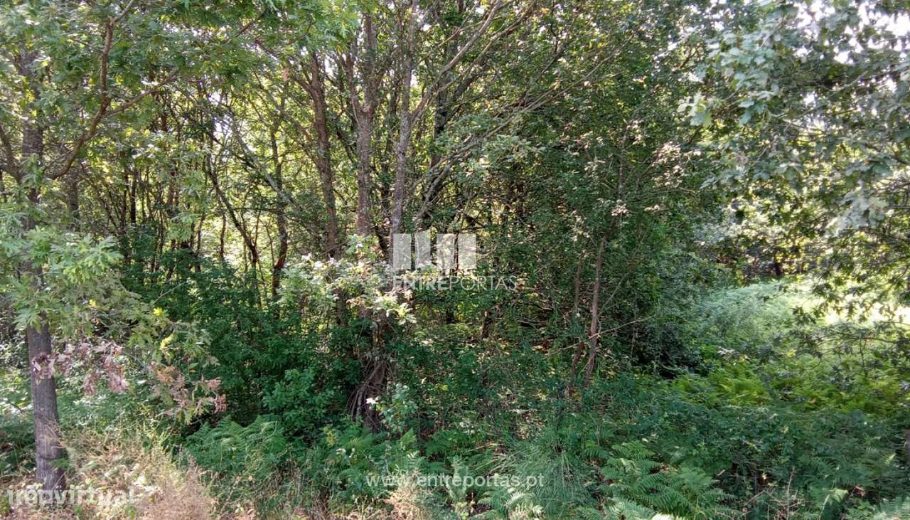 Venda de Terreno Industrial, Mazarefes, Viana do Castelo - Grande imagem: 4/27