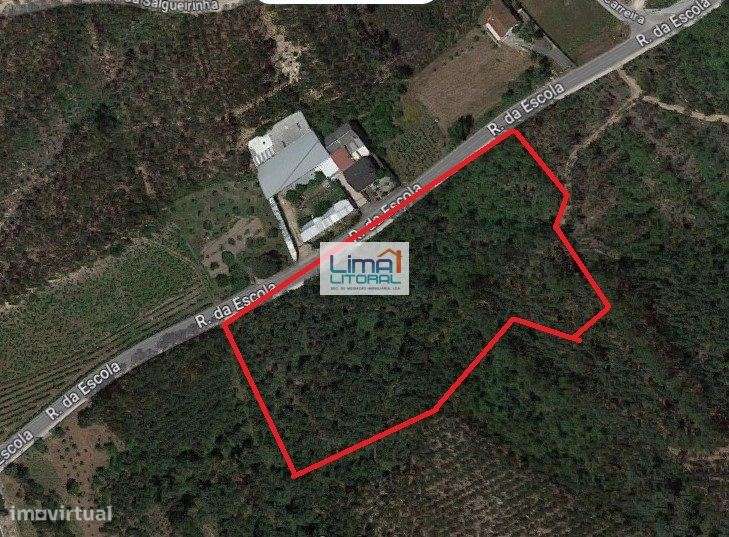 Terreno com 12.230 m2 - parcialmente em zona de construção - Arrabal - Grande imagem: 1/4