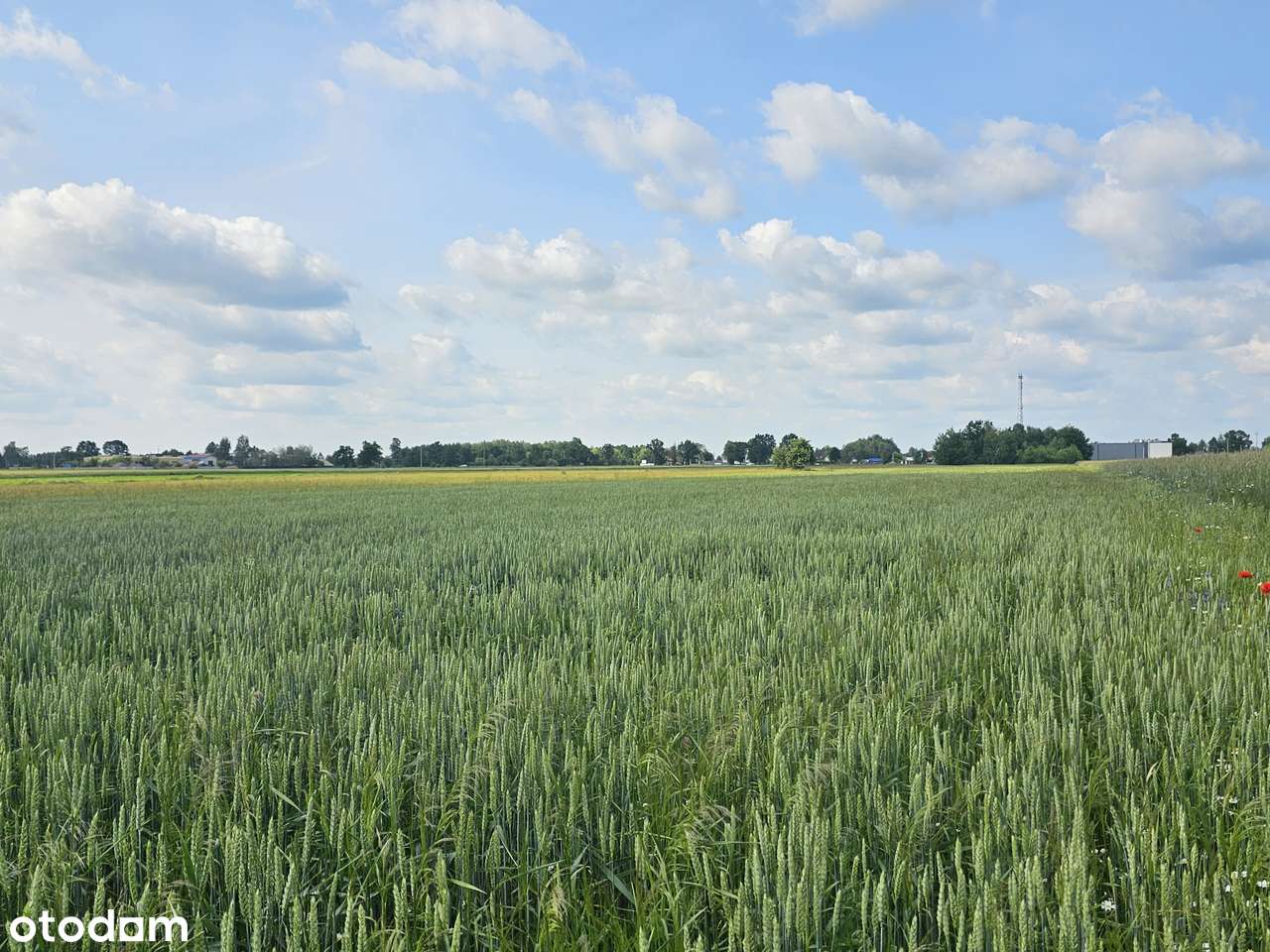 Uchwalony plan; b. dobry dojazd do W-wy; szkoła, PKP. Nowe domy-5