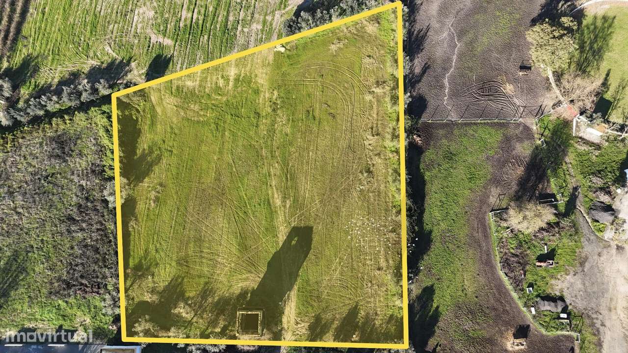 Terreno para construção - Oportunidade de Investimento no Centro de Al - Grande imagem: 3/15