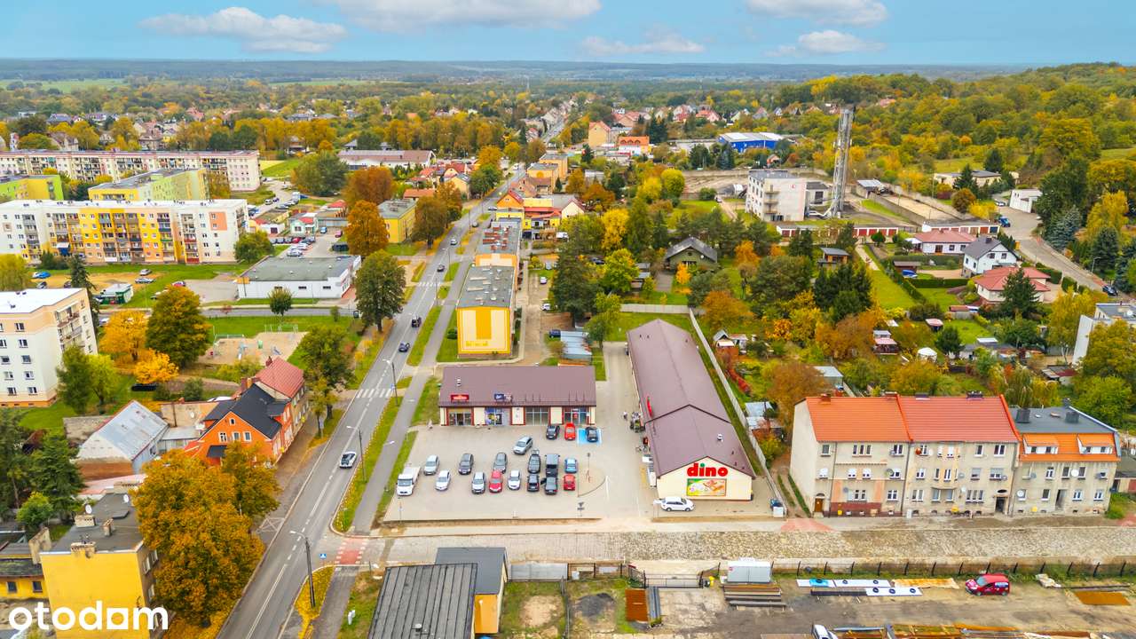 Lokal w parku handlowym obok marketu Dino - Rezerwacja - Pełny obrazek: 3/5